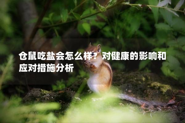仓鼠吃盐会怎么样？对健康的影响和应对措施分析