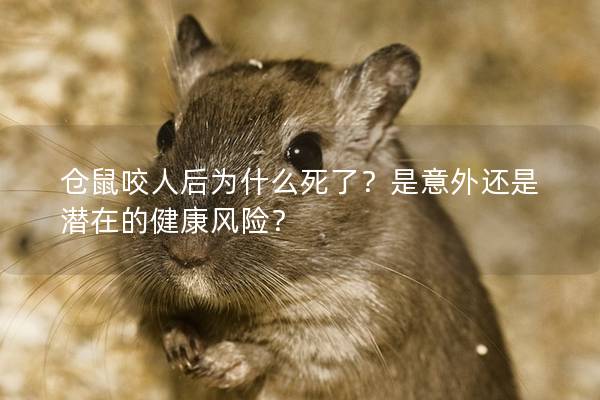 仓鼠咬人后为什么死了？是意外还是潜在的健康风险？