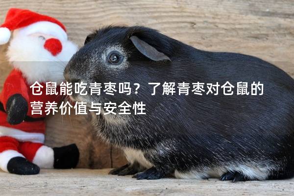 仓鼠能吃青枣吗？了解青枣对仓鼠的营养价值与安全性