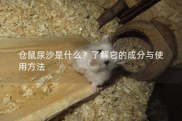 仓鼠尿沙是什么？了解它的成分与使用方法