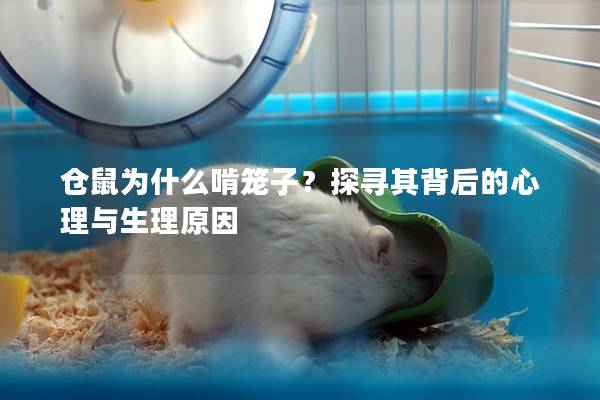 仓鼠为什么啃笼子？探寻其背后的心理与生理原因