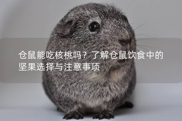 仓鼠能吃核桃吗？了解仓鼠饮食中的坚果选择与注意事项