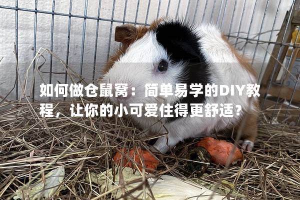 如何做仓鼠窝：简单易学的DIY教程，让你的小可爱住得更舒适？