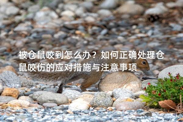 被仓鼠咬到怎么办？如何正确处理仓鼠咬伤的应对措施与注意事项