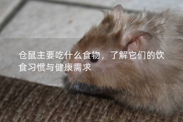 仓鼠主要吃什么食物，了解它们的饮食习惯与健康需求