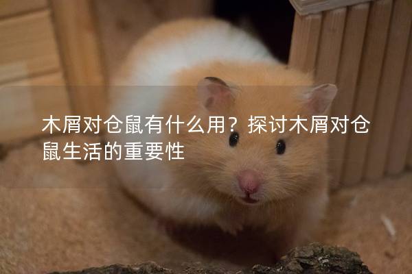 木屑对仓鼠有什么用？探讨木屑对仓鼠生活的重要性