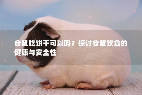仓鼠吃饼干可以吗？探讨仓鼠饮食的健康与安全性