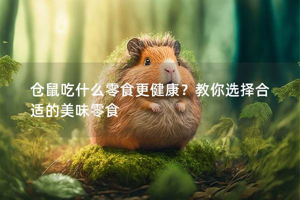 仓鼠吃什么零食更健康？教你选择合适的美味零食