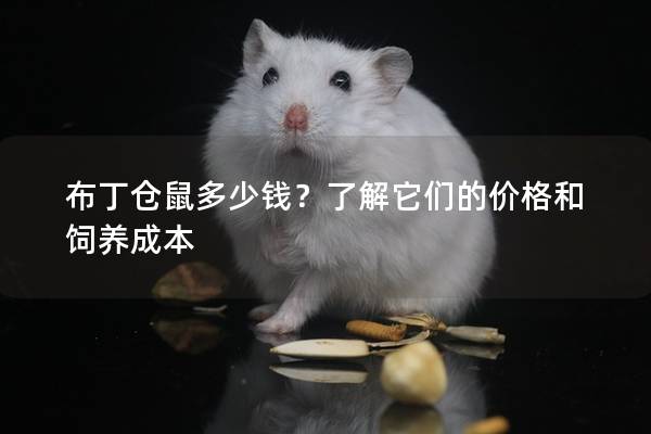布丁仓鼠多少钱？了解它们的价格和饲养成本