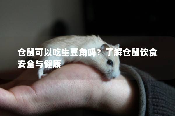 仓鼠可以吃生豆角吗？了解仓鼠饮食安全与健康
