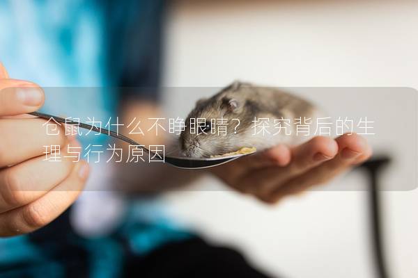 仓鼠为什么不睁眼睛？探究背后的生理与行为原因