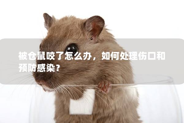 被仓鼠咬了怎么办，如何处理伤口和预防感染？