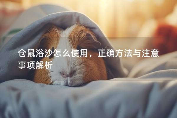 仓鼠浴沙怎么使用，正确方法与注意事项解析