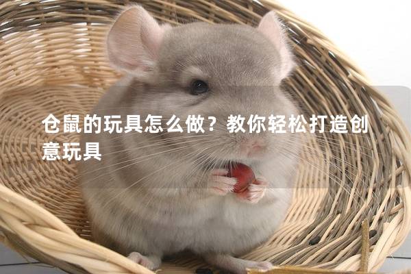 仓鼠的玩具怎么做？教你轻松打造创意玩具