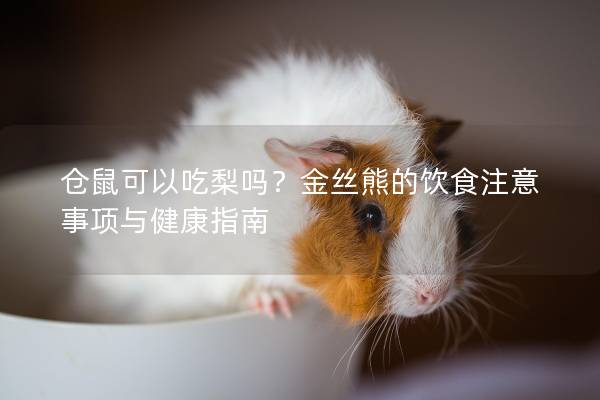 仓鼠可以吃梨吗？金丝熊的饮食注意事项与健康指南