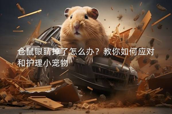 仓鼠眼睛掉了怎么办？教你如何应对和护理小宠物
