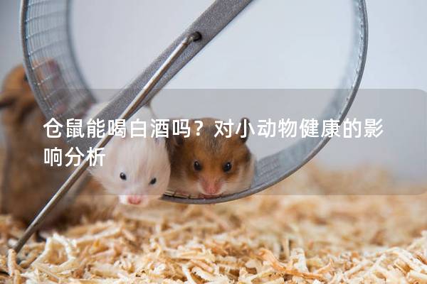 仓鼠能喝白酒吗？对小动物健康的影响分析