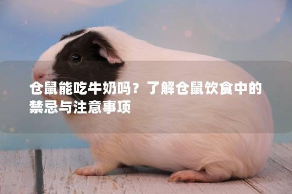 仓鼠能吃牛奶吗？了解仓鼠饮食中的禁忌与注意事项
