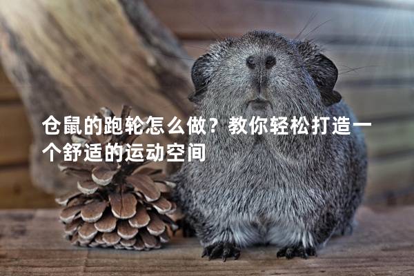 仓鼠的跑轮怎么做？教你轻松打造一个舒适的运动空间