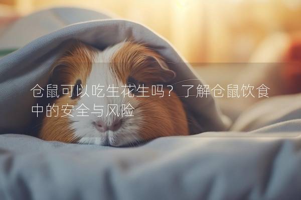 仓鼠可以吃生花生吗？了解仓鼠饮食中的安全与风险