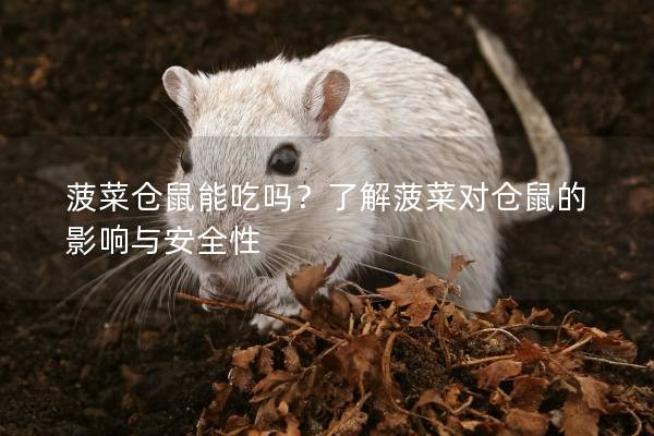 菠菜仓鼠能吃吗？了解菠菜对仓鼠的影响与安全性