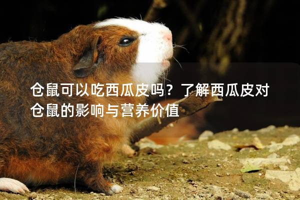 仓鼠可以吃西瓜皮吗？了解西瓜皮对仓鼠的影响与营养价值