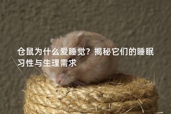 仓鼠为什么爱睡觉？揭秘它们的睡眠习性与生理需求
