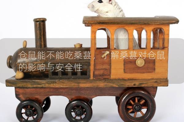 仓鼠能不能吃桑葚，了解桑葚对仓鼠的影响与安全性