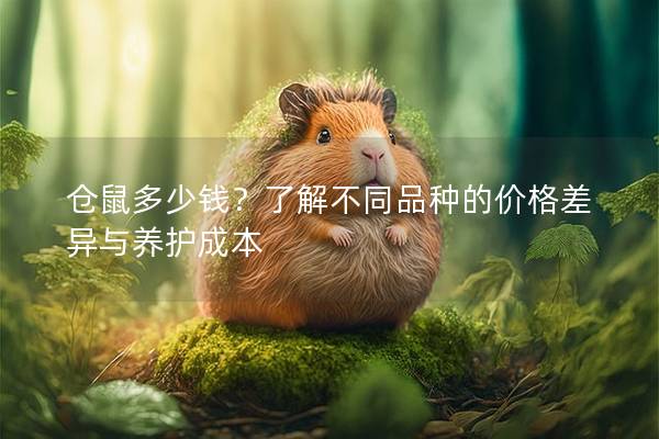 仓鼠多少钱？了解不同品种的价格差异与养护成本