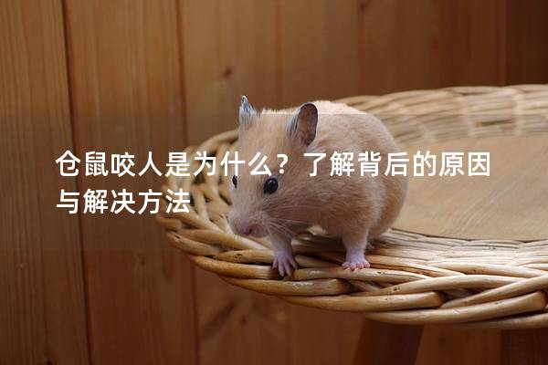 仓鼠咬人是为什么？了解背后的原因与解决方法