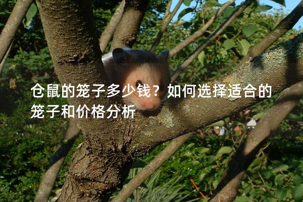 仓鼠的笼子多少钱？如何选择适合的笼子和价格分析