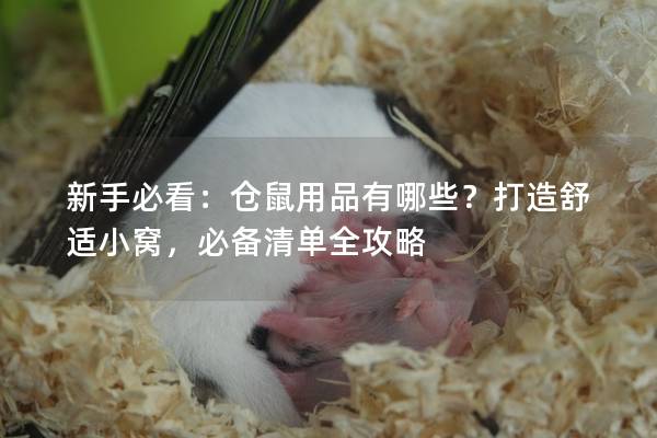 新手必看：仓鼠用品有哪些？打造舒适小窝，必备清单全攻略