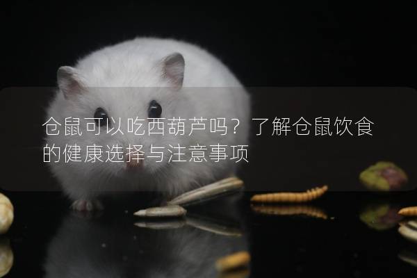 仓鼠可以吃西葫芦吗？了解仓鼠饮食的健康选择与注意事项