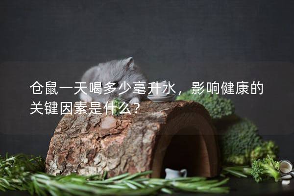 仓鼠一天喝多少毫升水，影响健康的关键因素是什么？