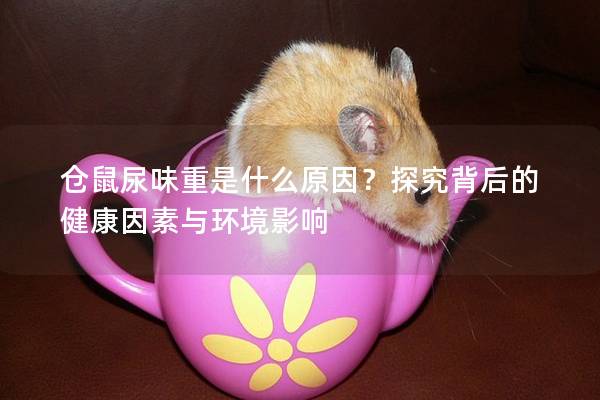 仓鼠尿味重是什么原因？探究背后的健康因素与环境影响