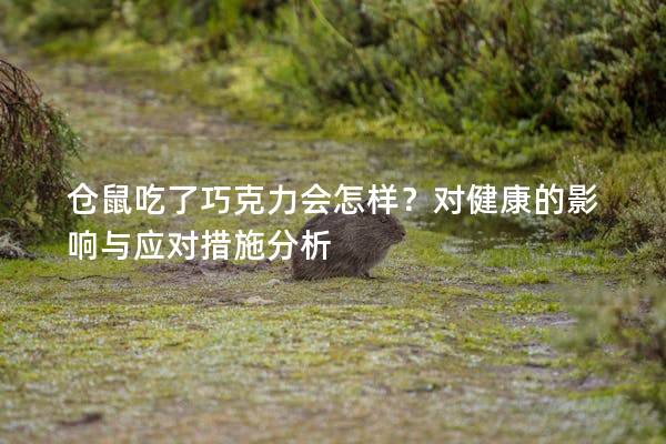 仓鼠吃了巧克力会怎样？对健康的影响与应对措施分析