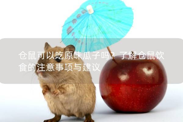 仓鼠可以吃原味瓜子吗？了解仓鼠饮食的注意事项与建议