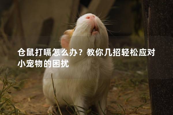 仓鼠打嗝怎么办？教你几招轻松应对小宠物的困扰