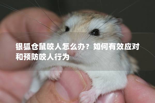 银狐仓鼠咬人怎么办？如何有效应对和预防咬人行为
