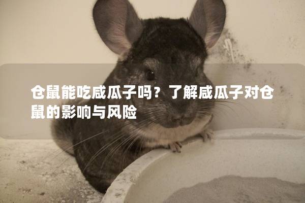 仓鼠能吃咸瓜子吗？了解咸瓜子对仓鼠的影响与风险