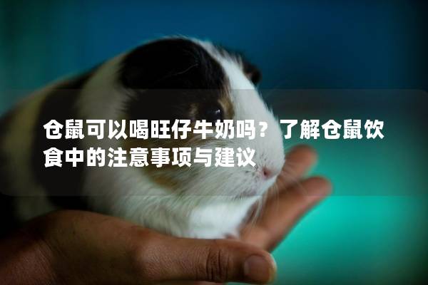 仓鼠可以喝旺仔牛奶吗？了解仓鼠饮食中的注意事项与建议