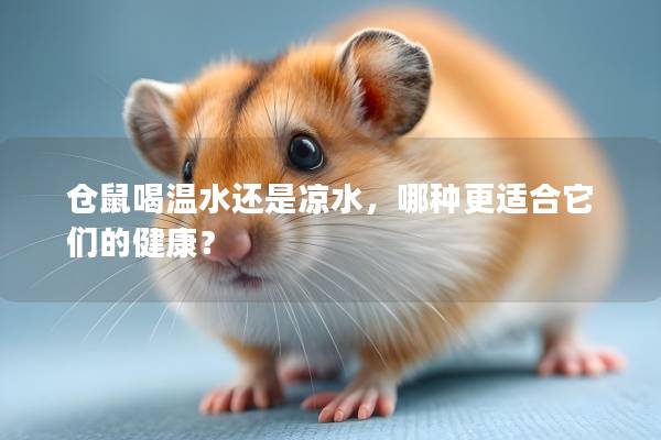 仓鼠喝温水还是凉水，哪种更适合它们的健康？