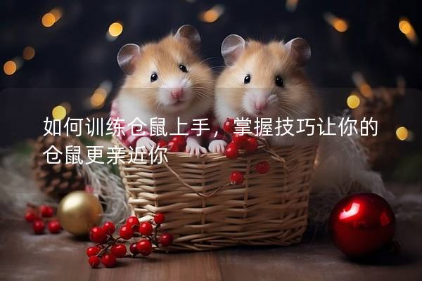 如何训练仓鼠上手，掌握技巧让你的仓鼠更亲近你