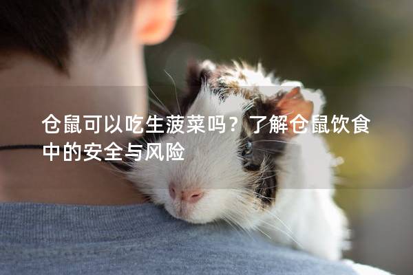 仓鼠可以吃生菠菜吗？了解仓鼠饮食中的安全与风险