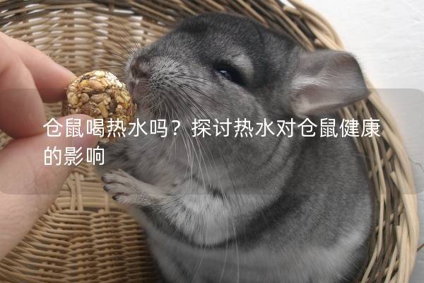仓鼠喝热水吗？探讨热水对仓鼠健康的影响