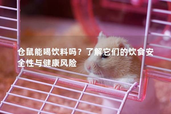 仓鼠能喝饮料吗？了解它们的饮食安全性与健康风险