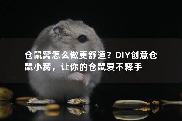 仓鼠窝怎么做更舒适？DIY创意仓鼠小窝，让你的仓鼠爱不释手