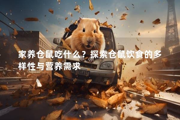 家养仓鼠吃什么？探索仓鼠饮食的多样性与营养需求