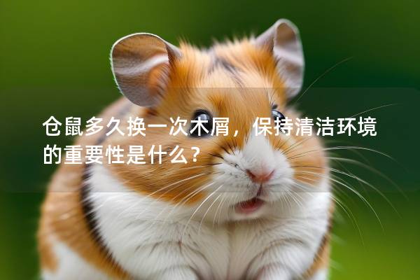 仓鼠多久换一次木屑，保持清洁环境的重要性是什么？