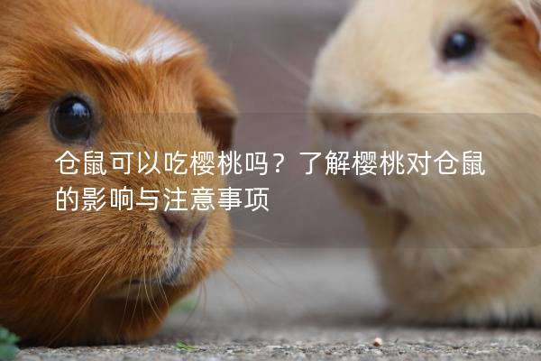 仓鼠可以吃樱桃吗？了解樱桃对仓鼠的影响与注意事项